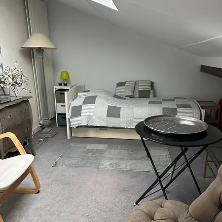 Cosy Loft In Stylish With Garden 4* Parijs