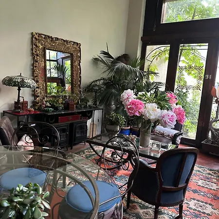 Hotel Cosy Loft In Stylish With Garden Parijs