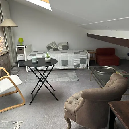 Hotel Cosy Loft In Stylish With Garden Parijs